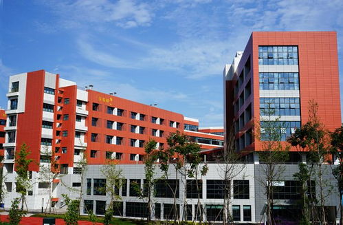 水泥纖維板氟碳漆保溫一體板 技術(shù)開發(fā)與四川生產(chǎn)廠家的行業(yè)領(lǐng)先實(shí)踐